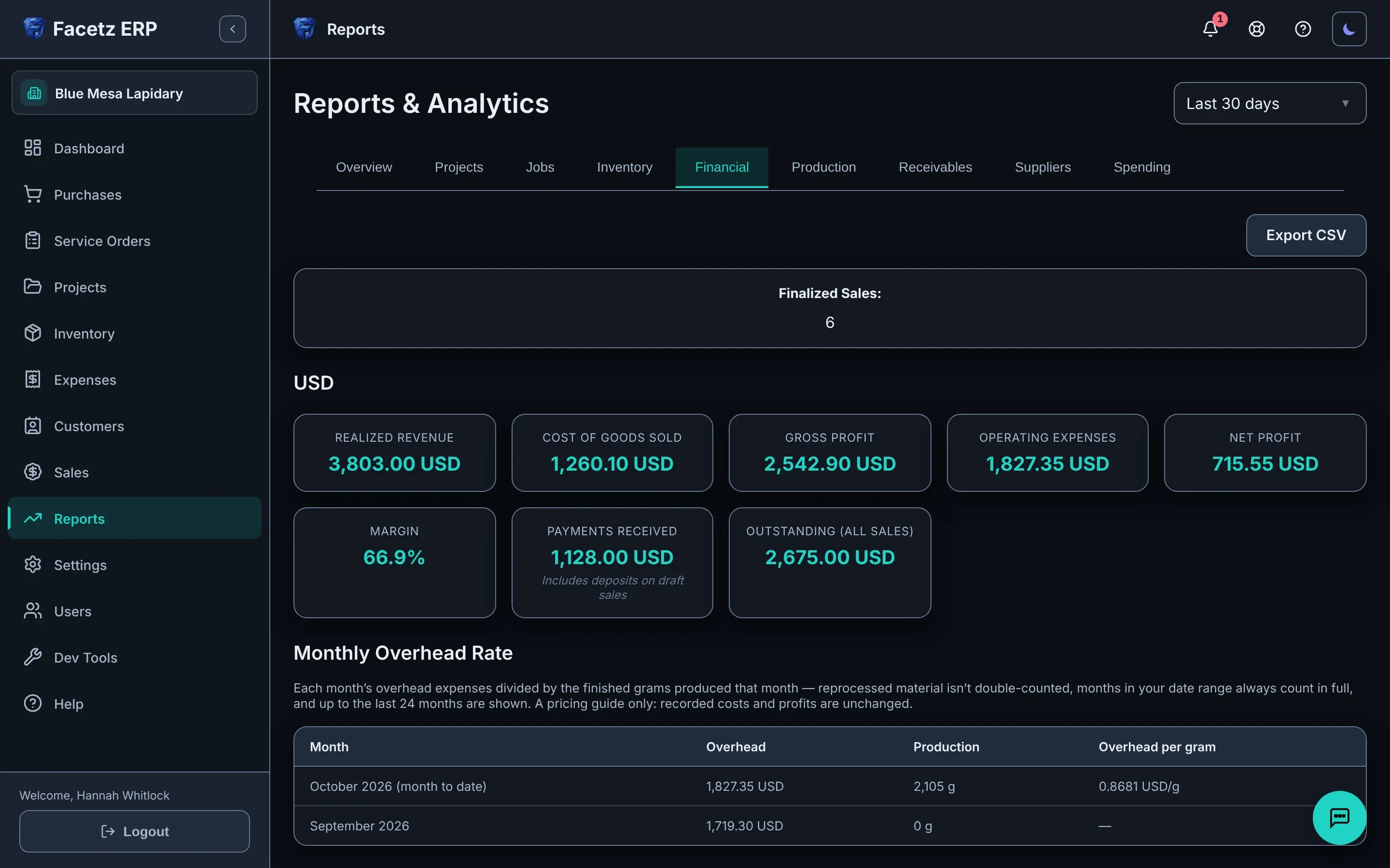The Financial report: revenue, cost of goods, margin and net, per currency.
