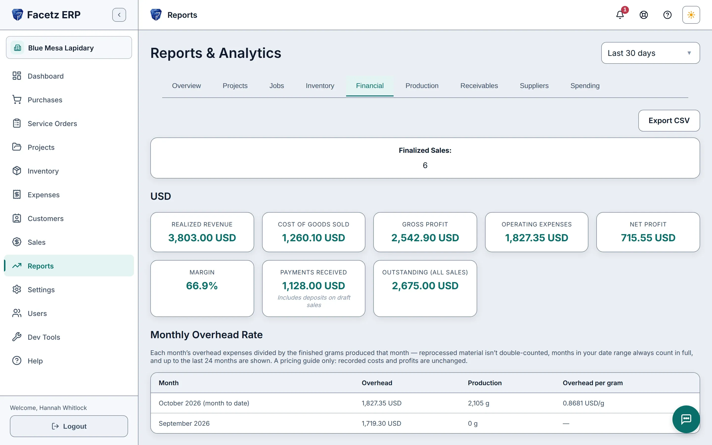 The Financial report: revenue, cost of goods, margin and net, per currency.